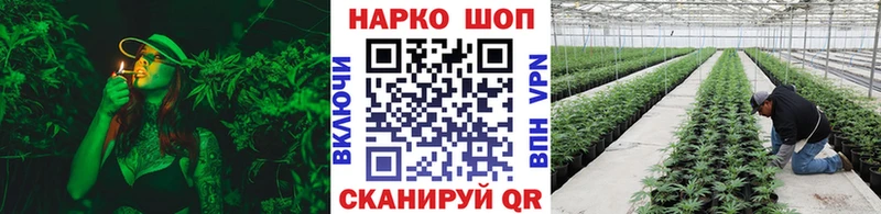 Купить закладку ГАШ  Псилоцибиновые грибы  МЕФ  LSD-25  МАРИХУАНА  Георгиевск
