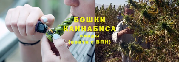 ГАЛЛЮЦИНОГЕННЫЕ ГРИБЫ Богородицк