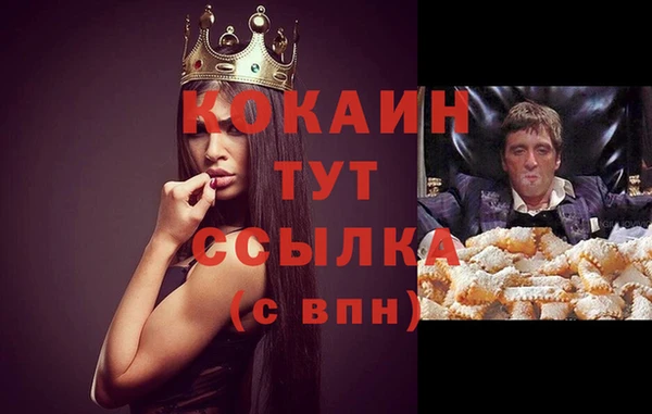 гашик Богородск